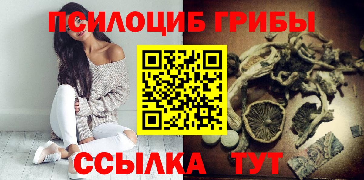 Псилоцибиновые грибы Psilocybine cubensis Альметьевск