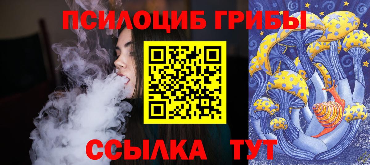 Галлюциногенные грибы Psilocybe Альметьевск