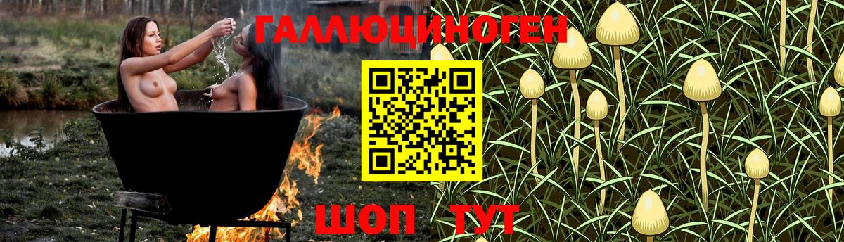 купить  сайты  Вход с VPN  Альметьевск  Псилоцибиновые грибы GOLDEN TEACHER  Галлюциногенные грибы Psilocybine cubensis 